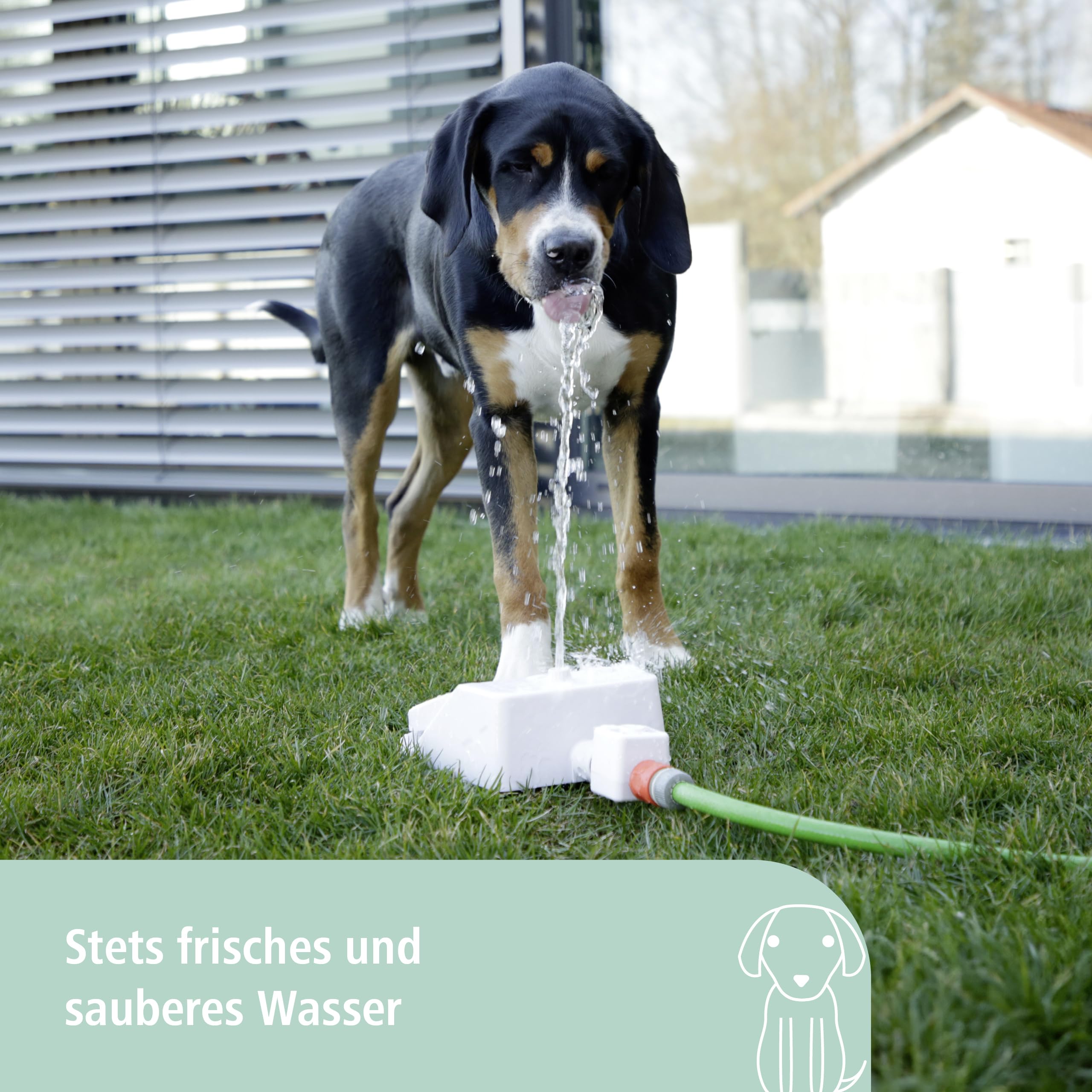 kerbl-pet-wasserspringbrunnen-bubble-25-5x18x8-cm-trinkbrunnen-f-r-hunde image 3