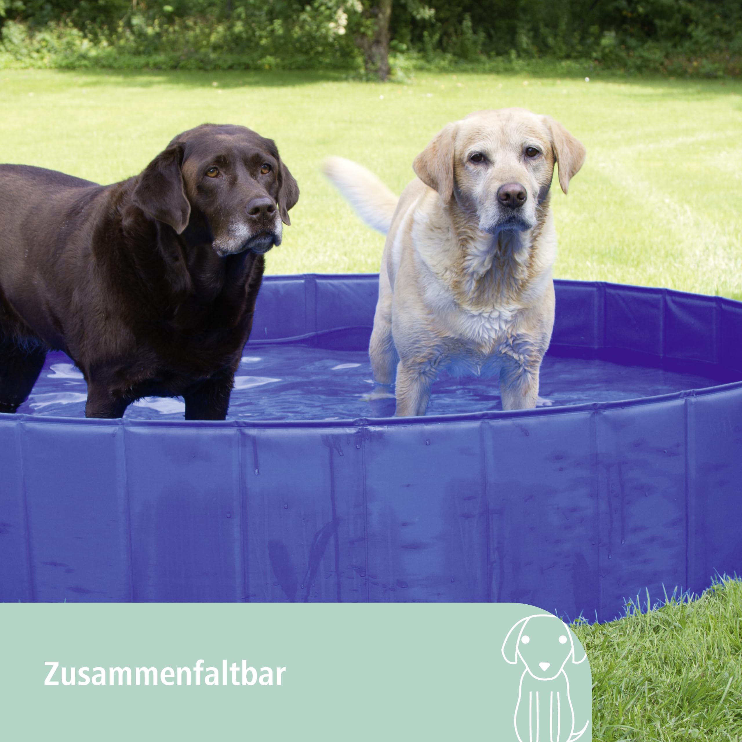 kerbl-pet-faltbarer-hundepool-blau-120x30-cm image 5