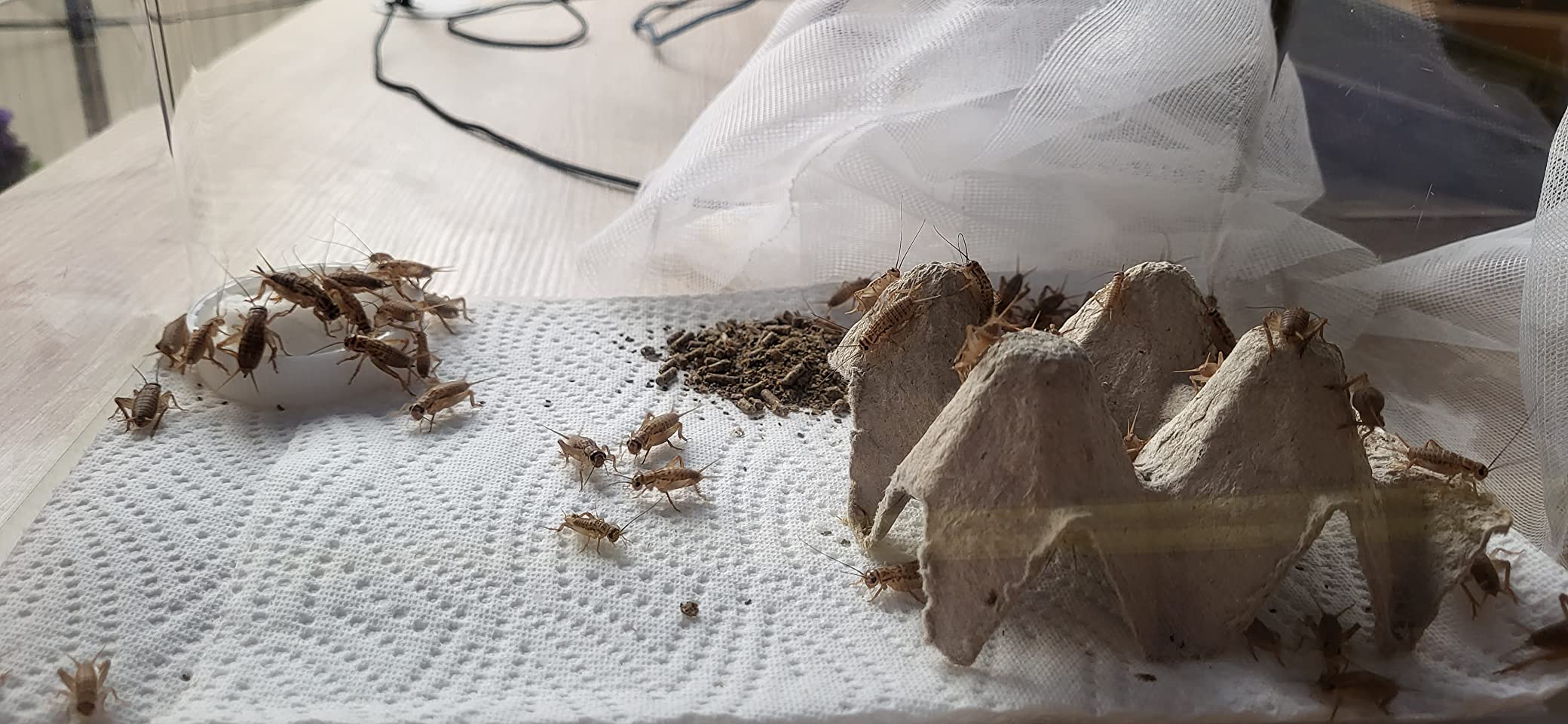 Tolle Box für den Nachwuchs