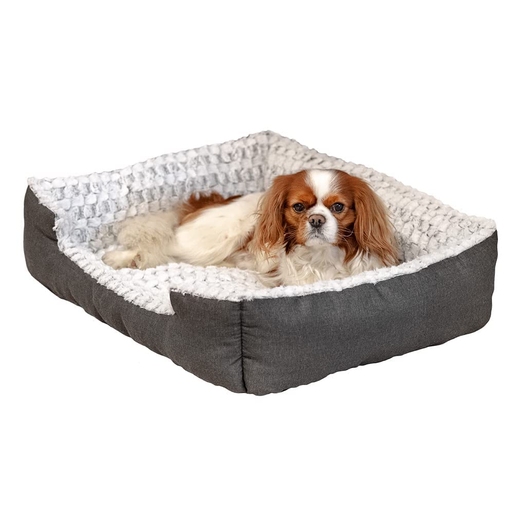 ferplast-hunde-und-katzenbett-mit-rand-grau-wei-48-x-37-x-16-cm image 2