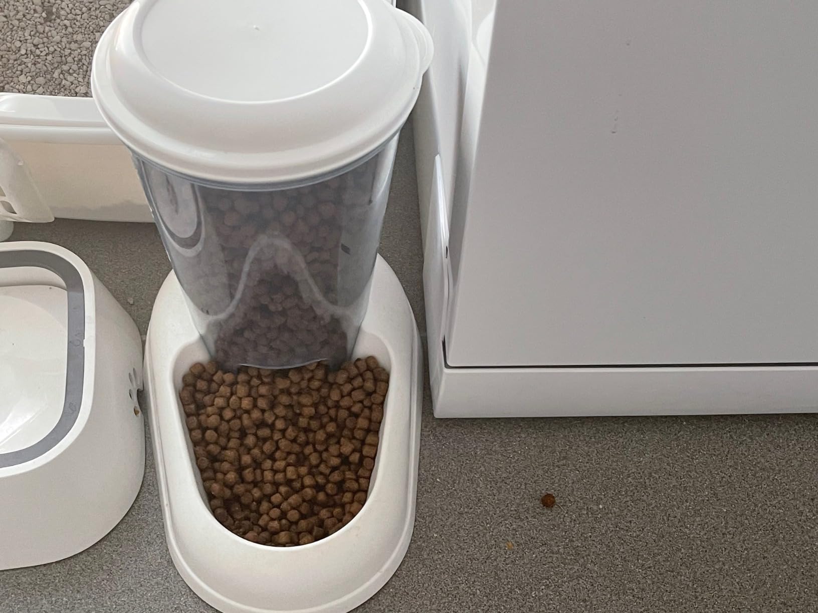 Klappert bei großem Futter