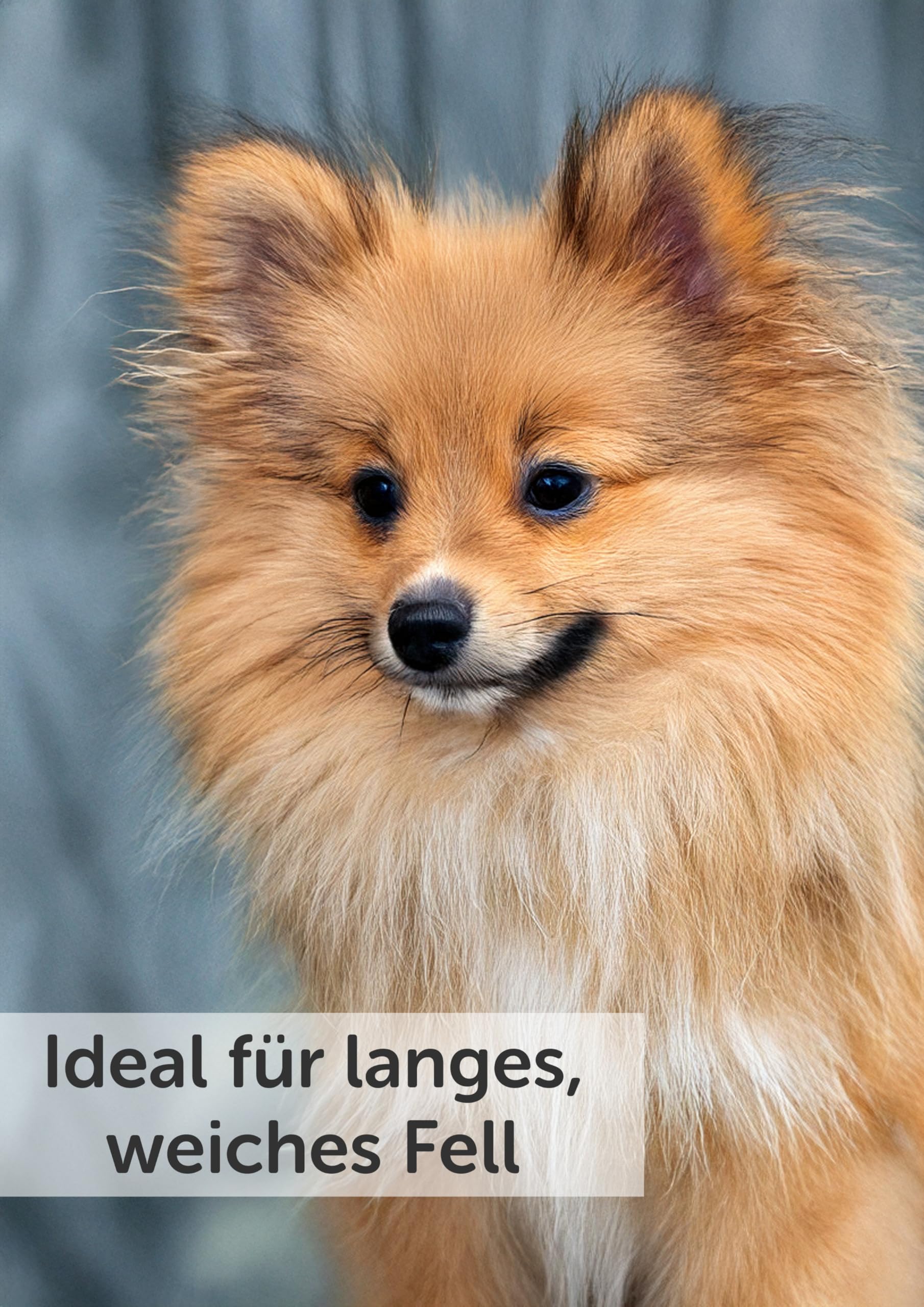 karlie-shampoo-und-conditioner-hundeshampoo-300-ml image 2