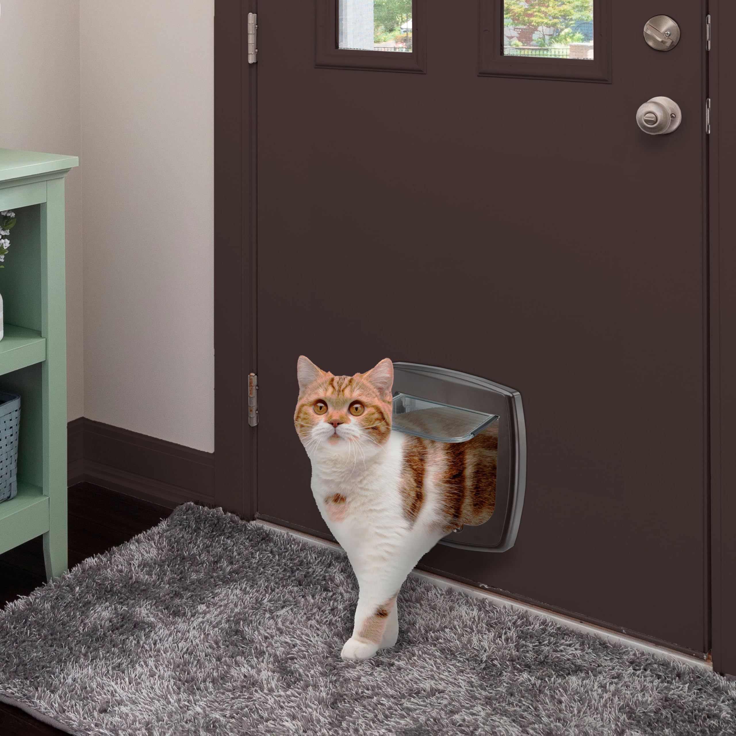 ferplast-swing-3-haustierklappe-4-wege-f-r-katzen-und-kleine-hunde-braun image 3