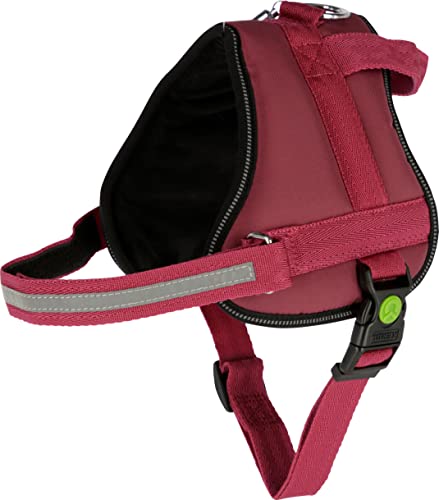 kerbl-pet-geschirr-maestro-2-0-burgundy-15-mm-x-45-60-cm-mit-adresstube image 8