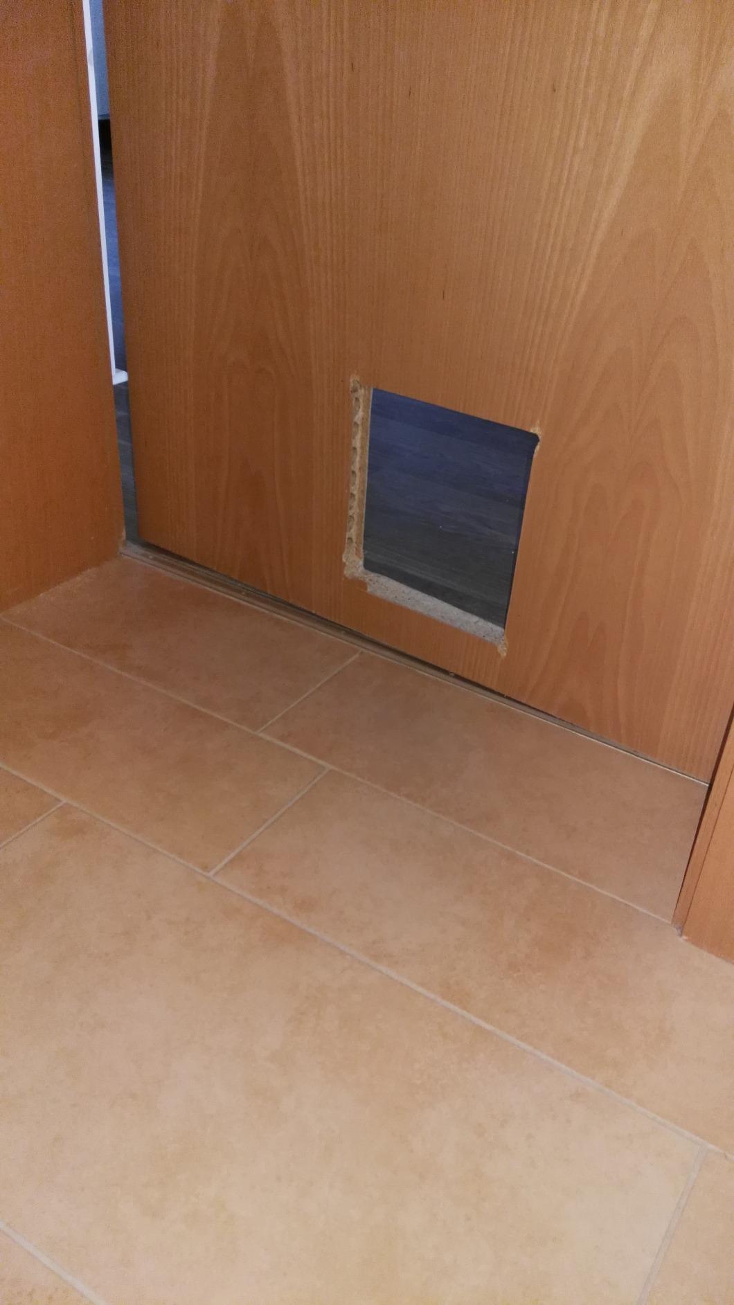 Auch für große Katzen geeignet
