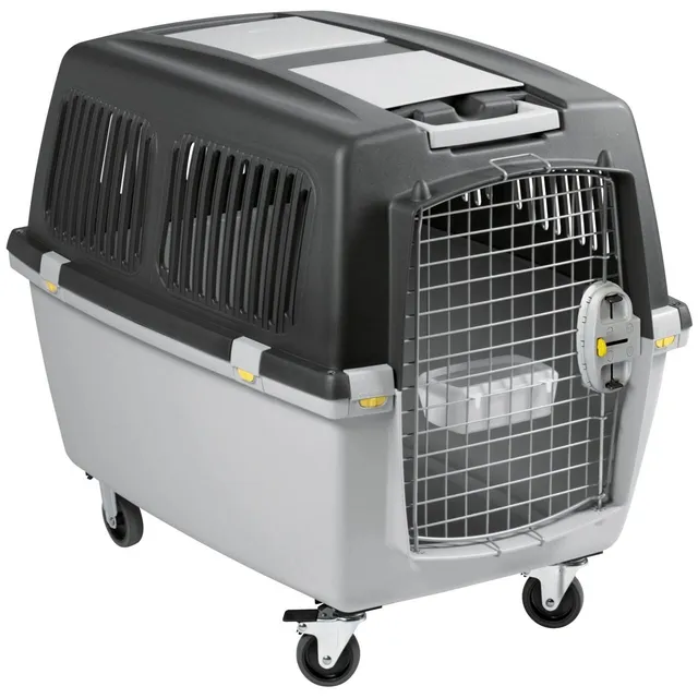 kerbl-transportbox-gulliver-5-iata-81x61x60-cm image 1