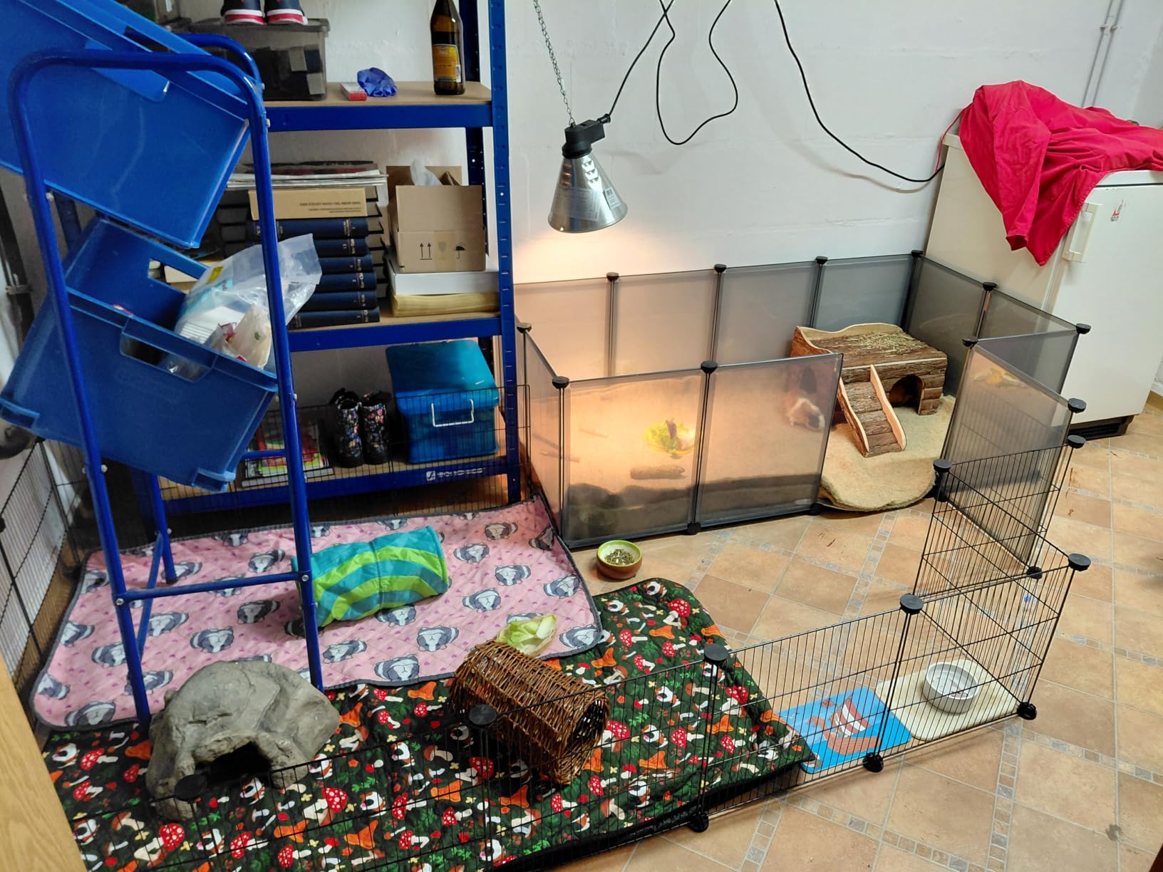 Mega flexibel für Meerschweinchen
