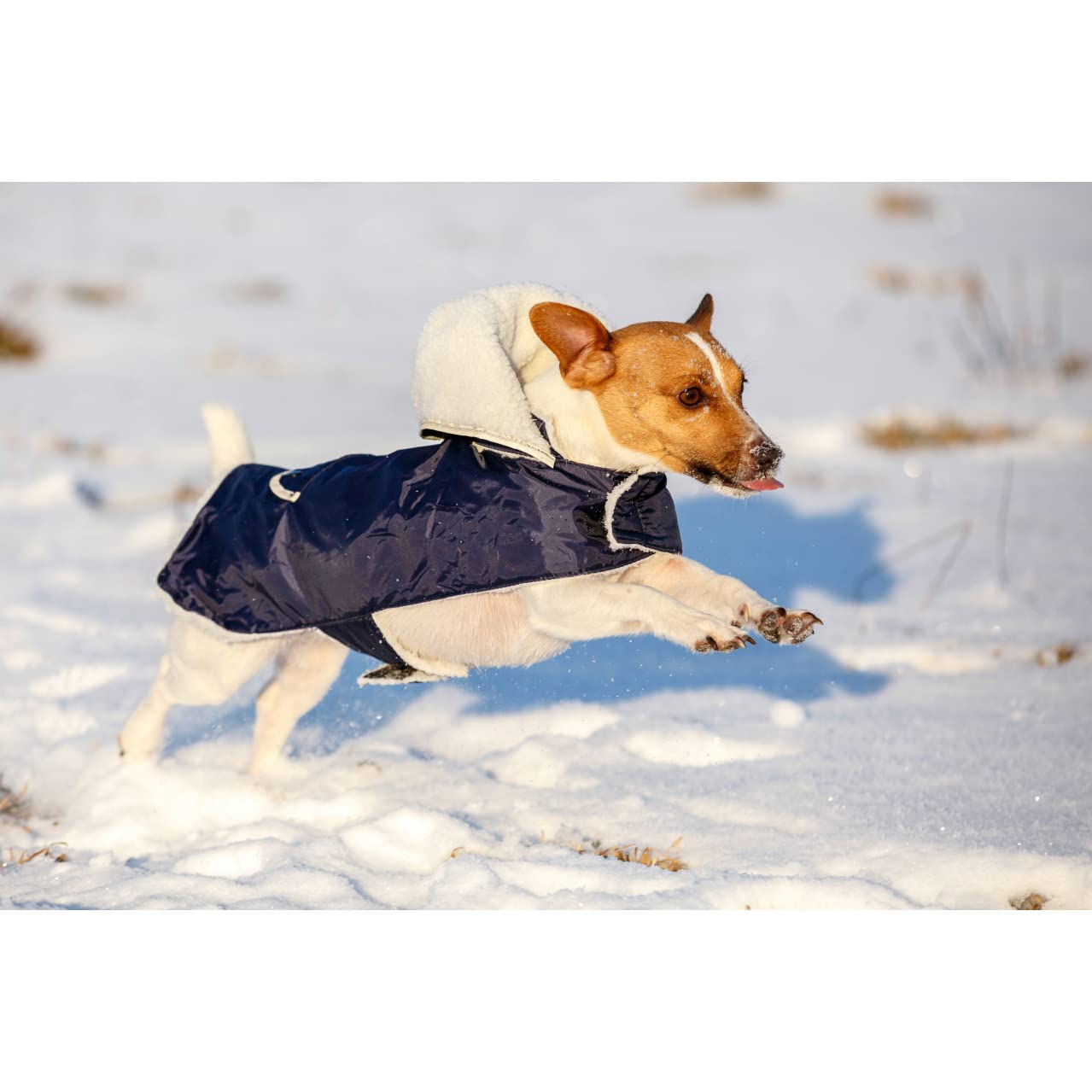 kerbl-hundemantel-teddy-48-cm-bauch-53-68-cm image 5