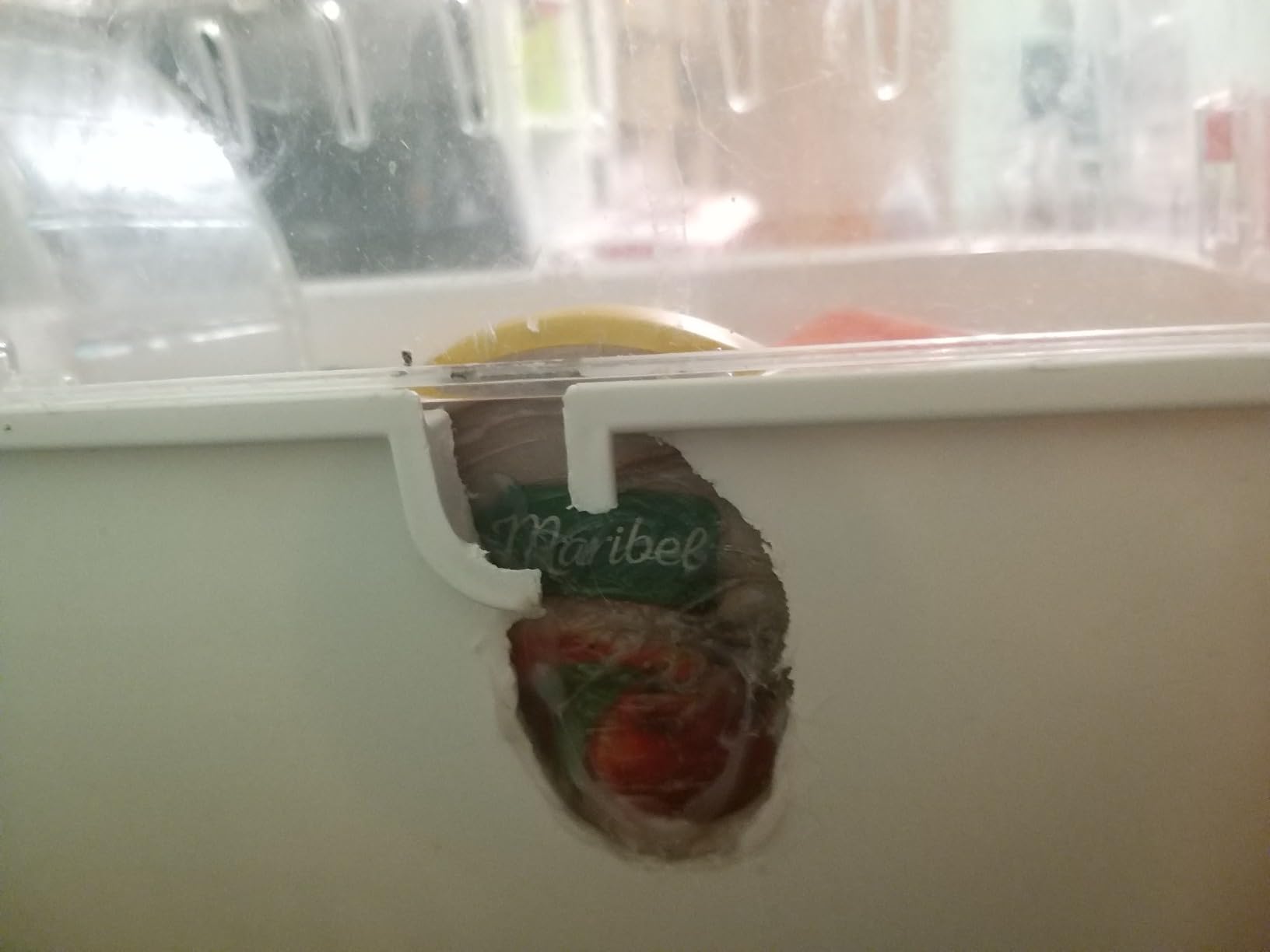 Hamsterparadies