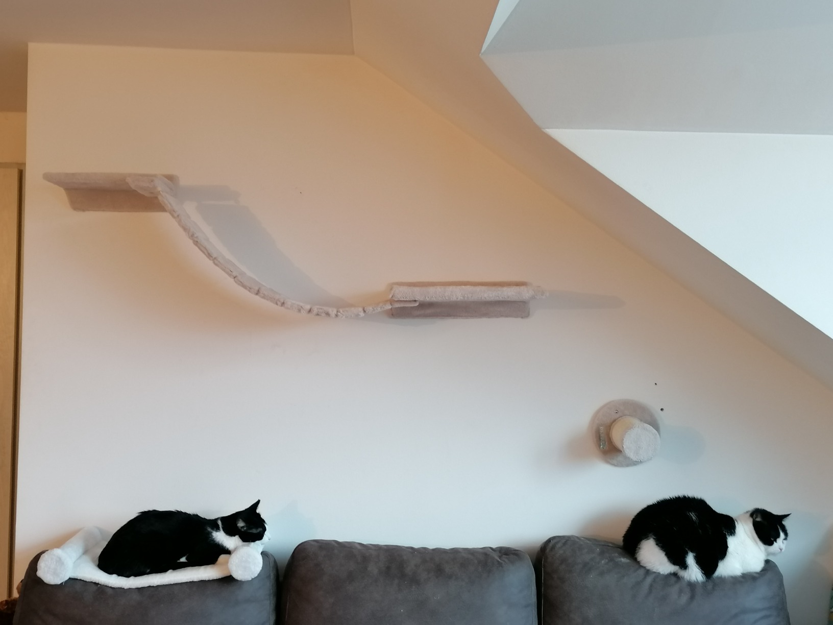 Leider nichts für schwere Katzen