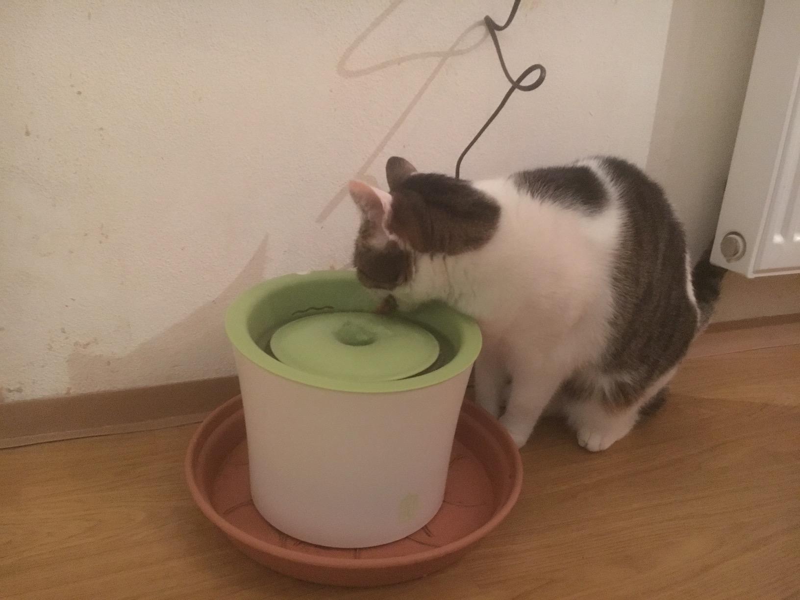 Trinkt mehr!