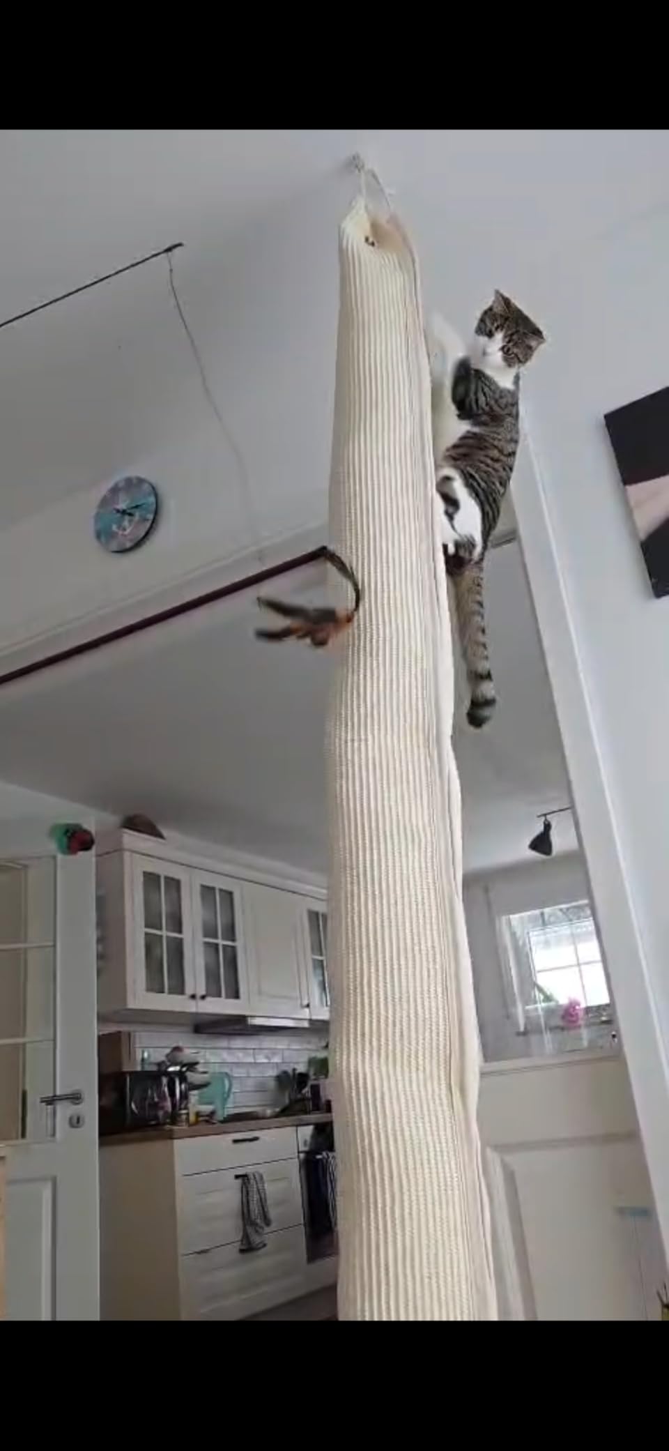Toller Kletterspaß vom Boden bis zur Decke