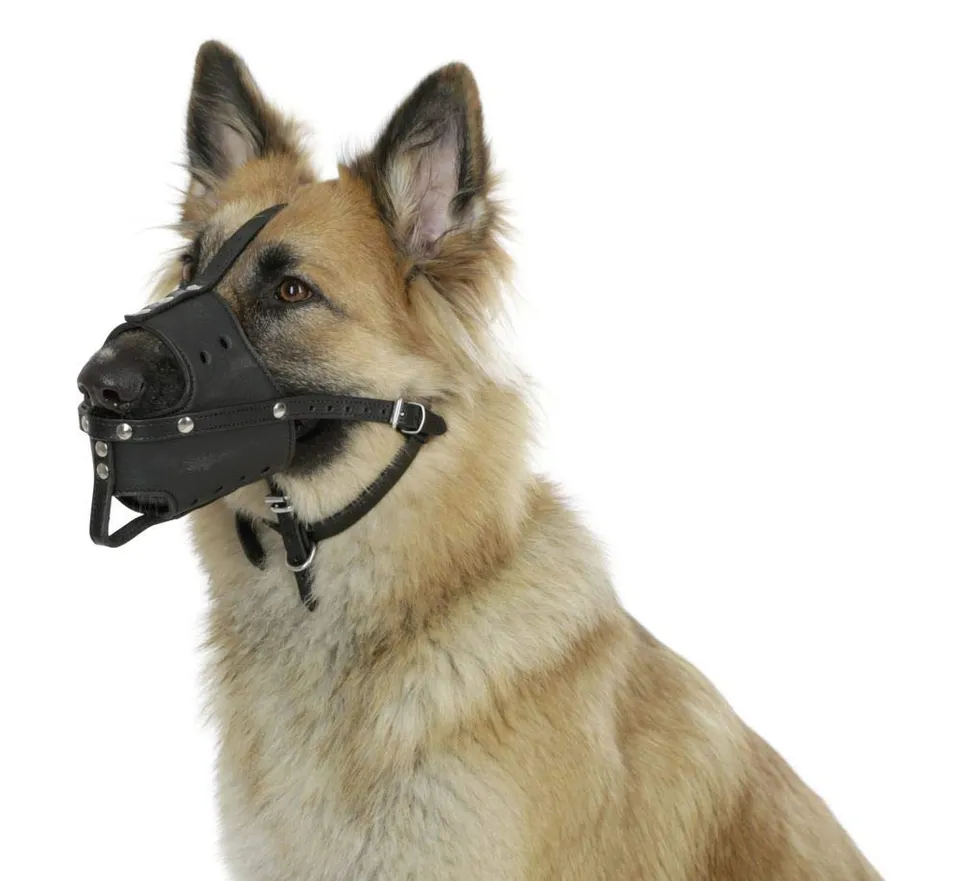 kerbl-pet-leder-maulkorb-m-schwarz-u-26-cm-maulkorb-aus-echtleder-f-r-hunde image 1