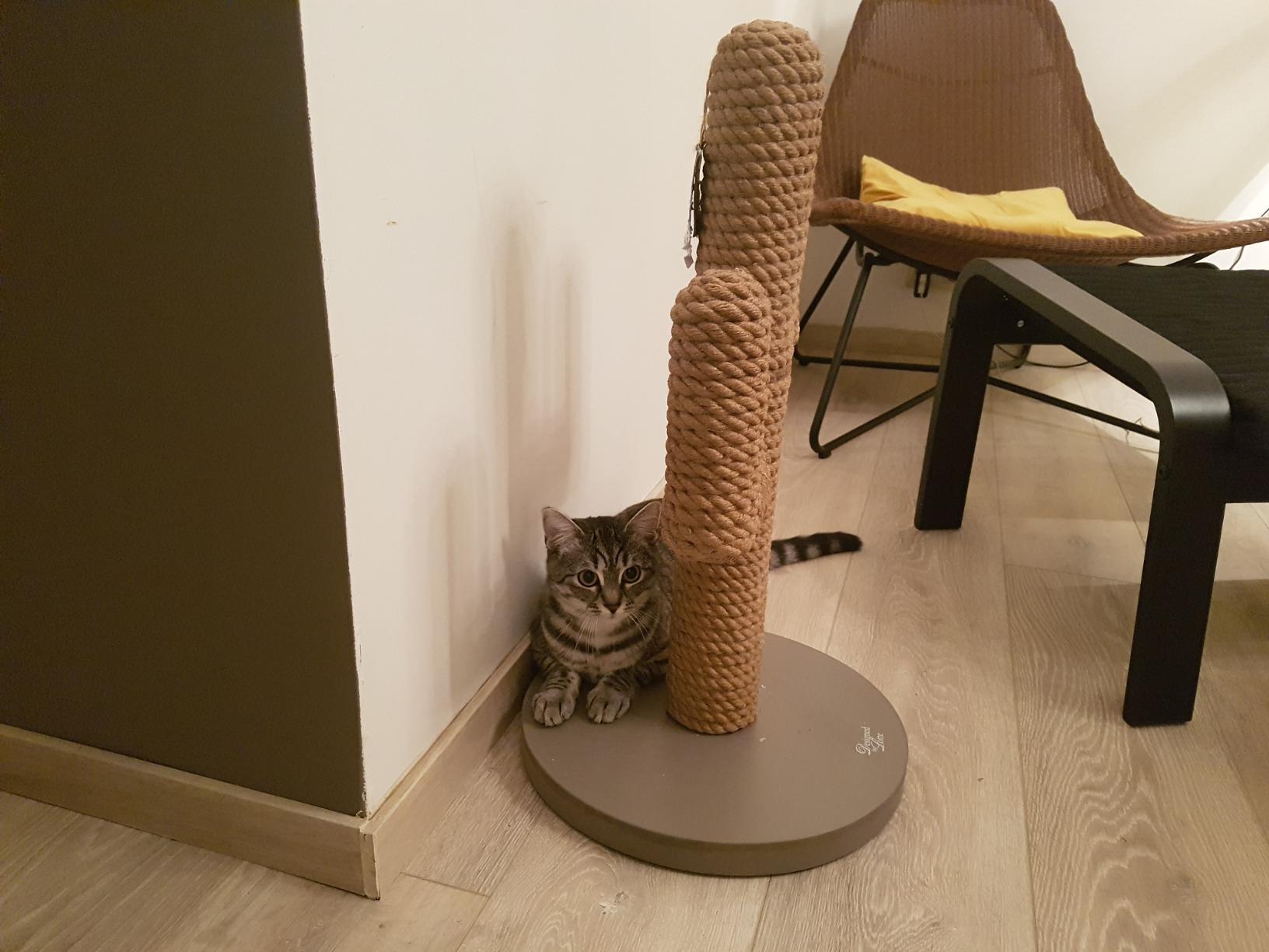Schön und platzsparend