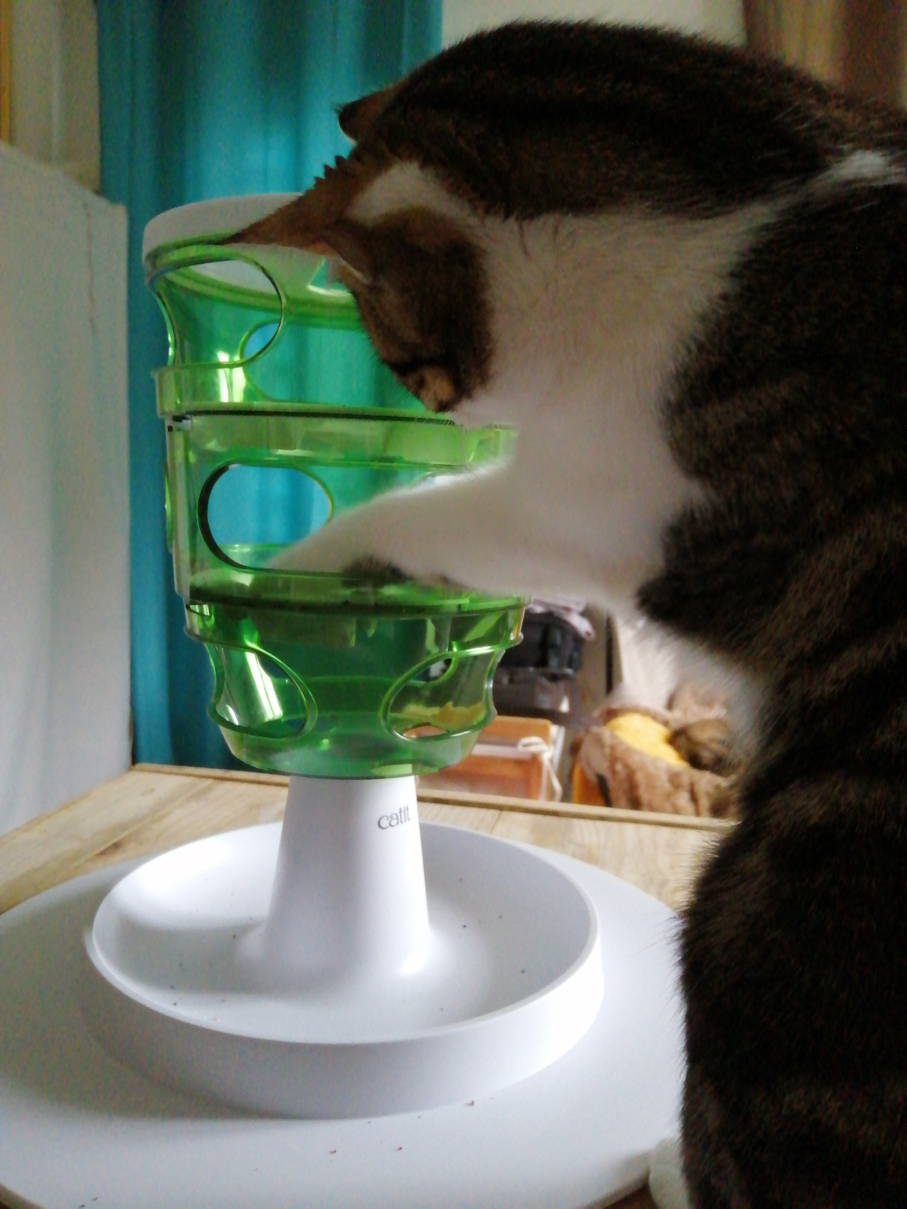 Schlaues Futterlabyrinth