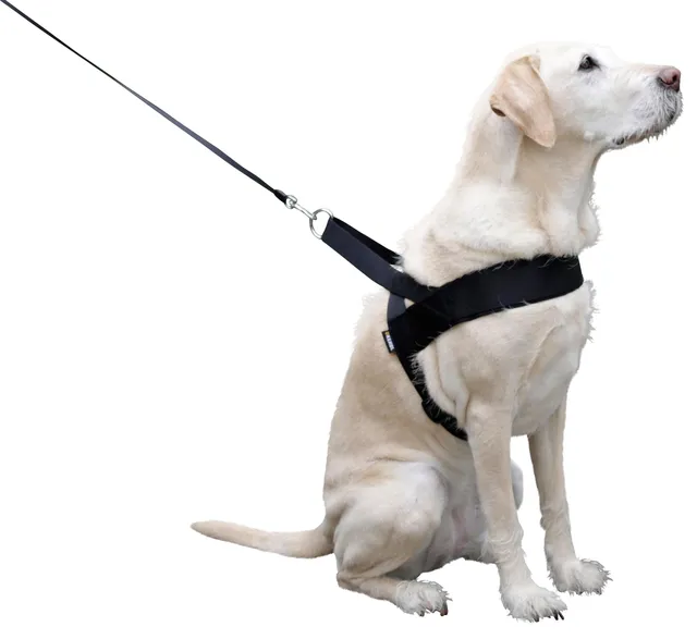 kerbl-pet-miami-plus-hundegeschirr-60-75-cm-hals-40-cm-40-mm-schwarz image 1