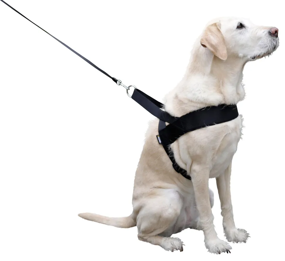 kerbl-pet-miami-plus-hundegeschirr-60-75-cm-hals-40-cm-40-mm-schwarz image 1