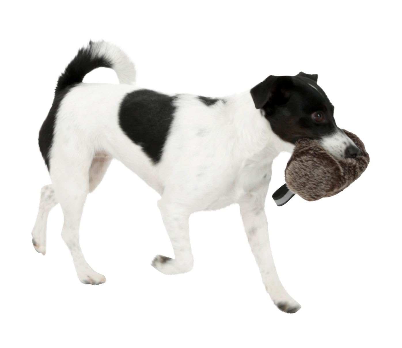 kerbl-pet-snackdummy-pl-sch-16-x-7-cm-futterdummy-f-r-hunde image 4