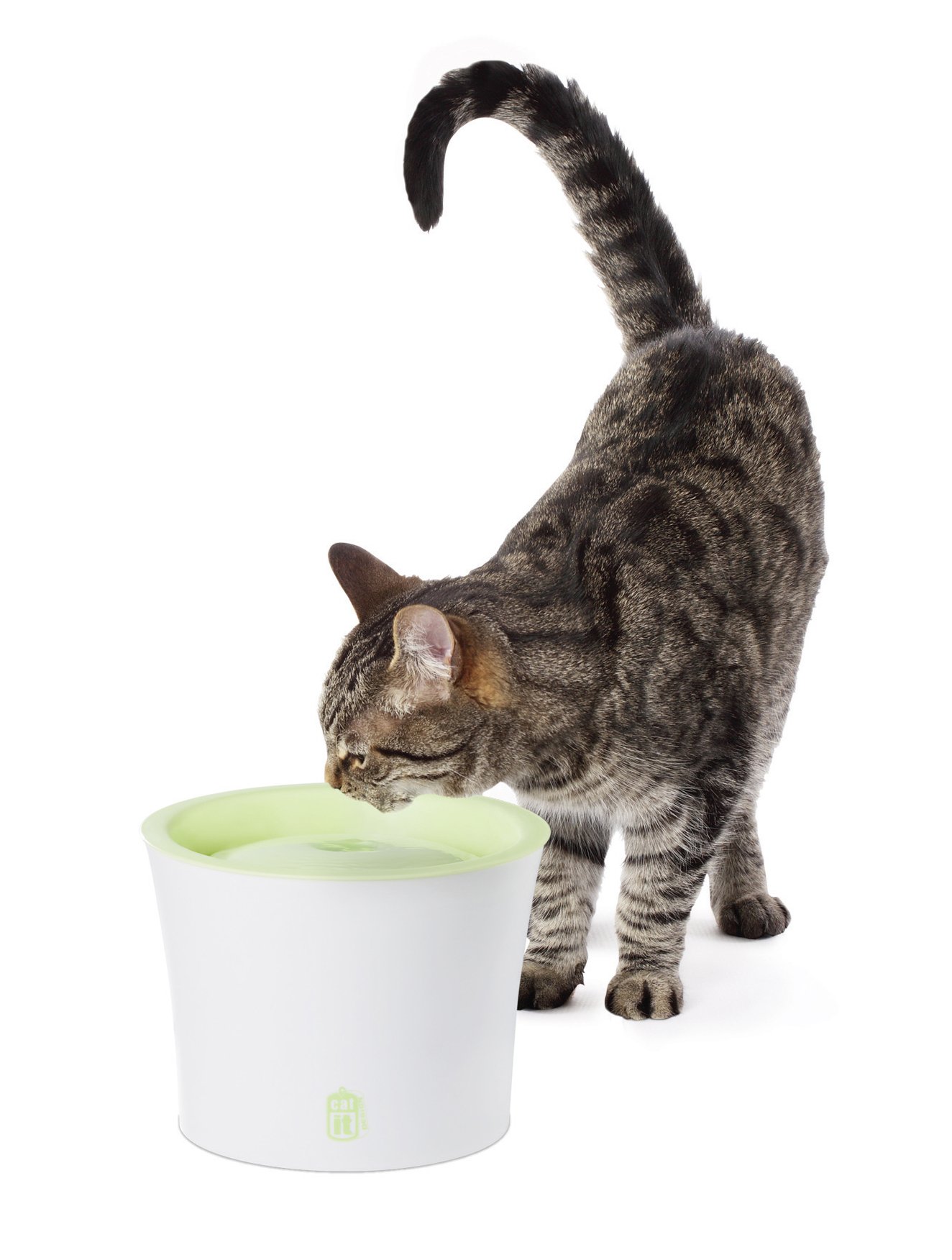 catit-trinkbrunnen-f-r-katzen-3l-gr-n-wei-filter-trinkbrunnen image 3