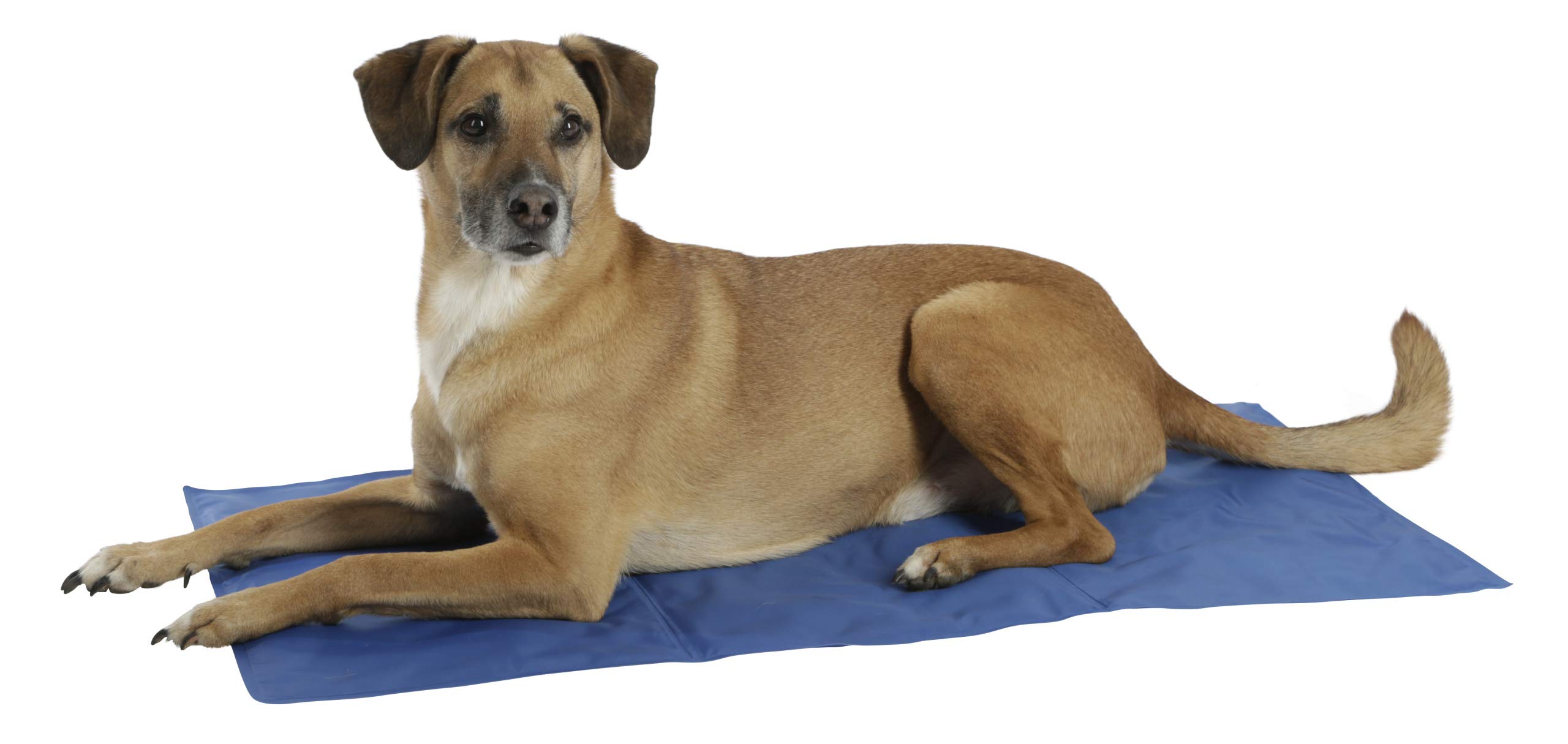 kerbl-pet-k-hlmatte-cool-relax-blau-50x40-cm-selbstk-hlend-mit-k-hlgel image 3