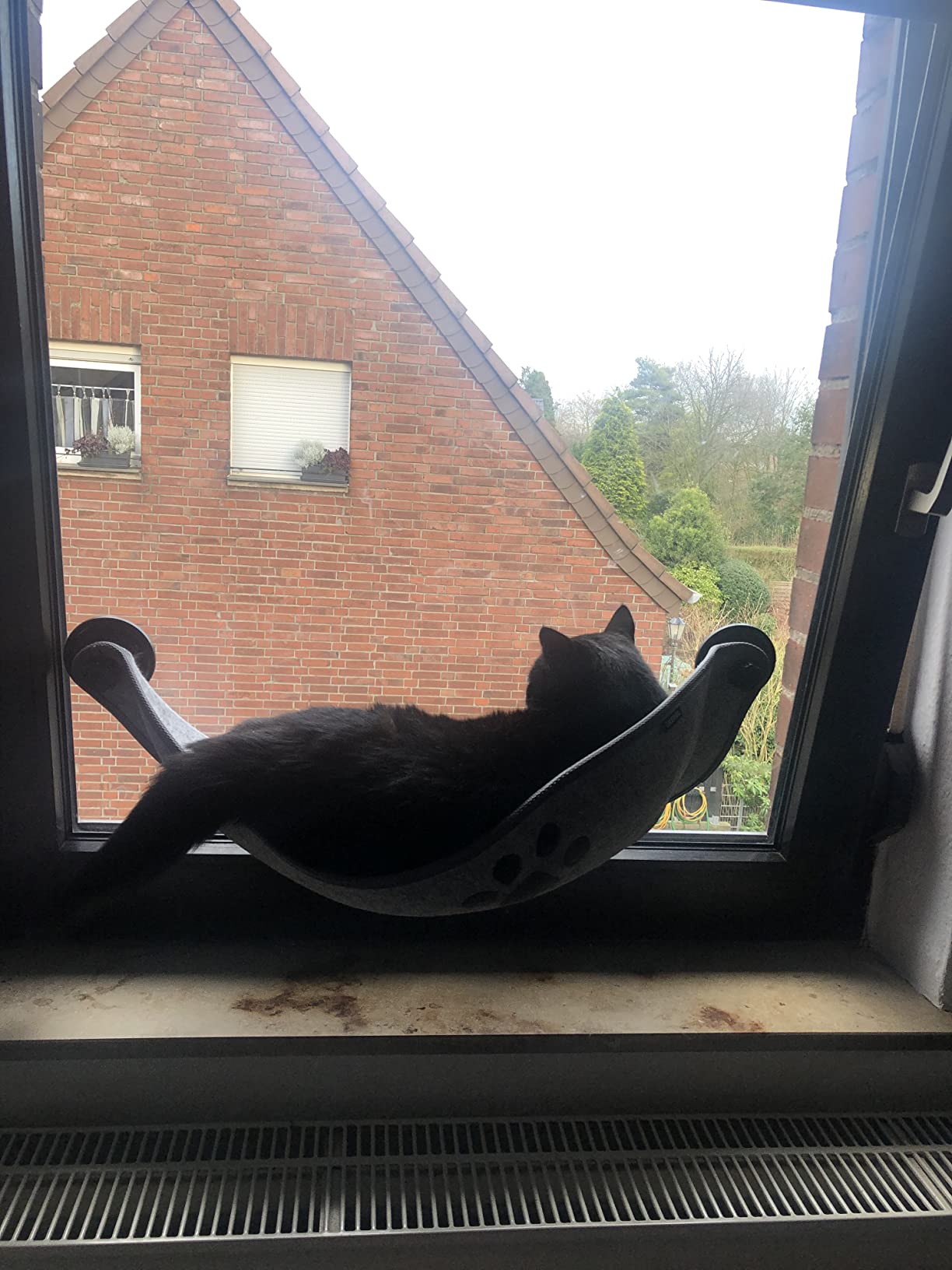 Gut, aber wählerische Katze