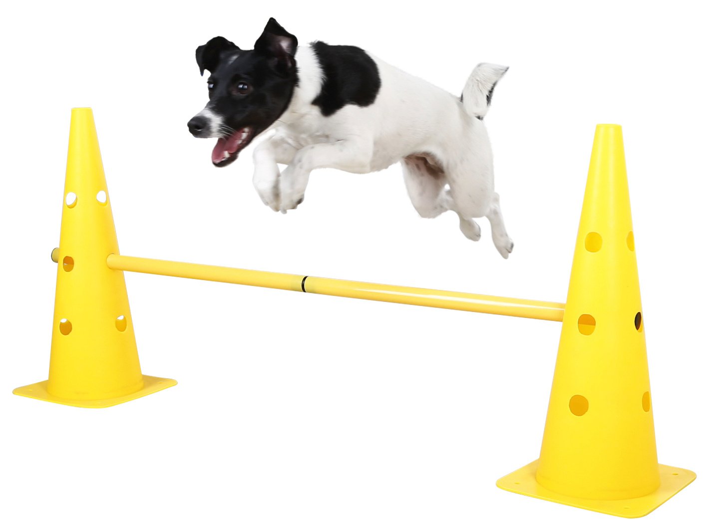 kerbl-pet-agility-pylonen-h-rden-set-3-h-rden-mit-6-pylonen-und-stangen image 2