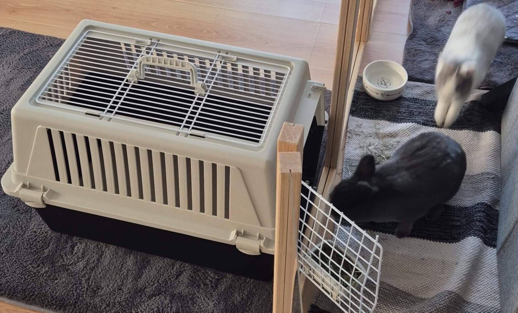 Stabil und sicher für den Tierarzt