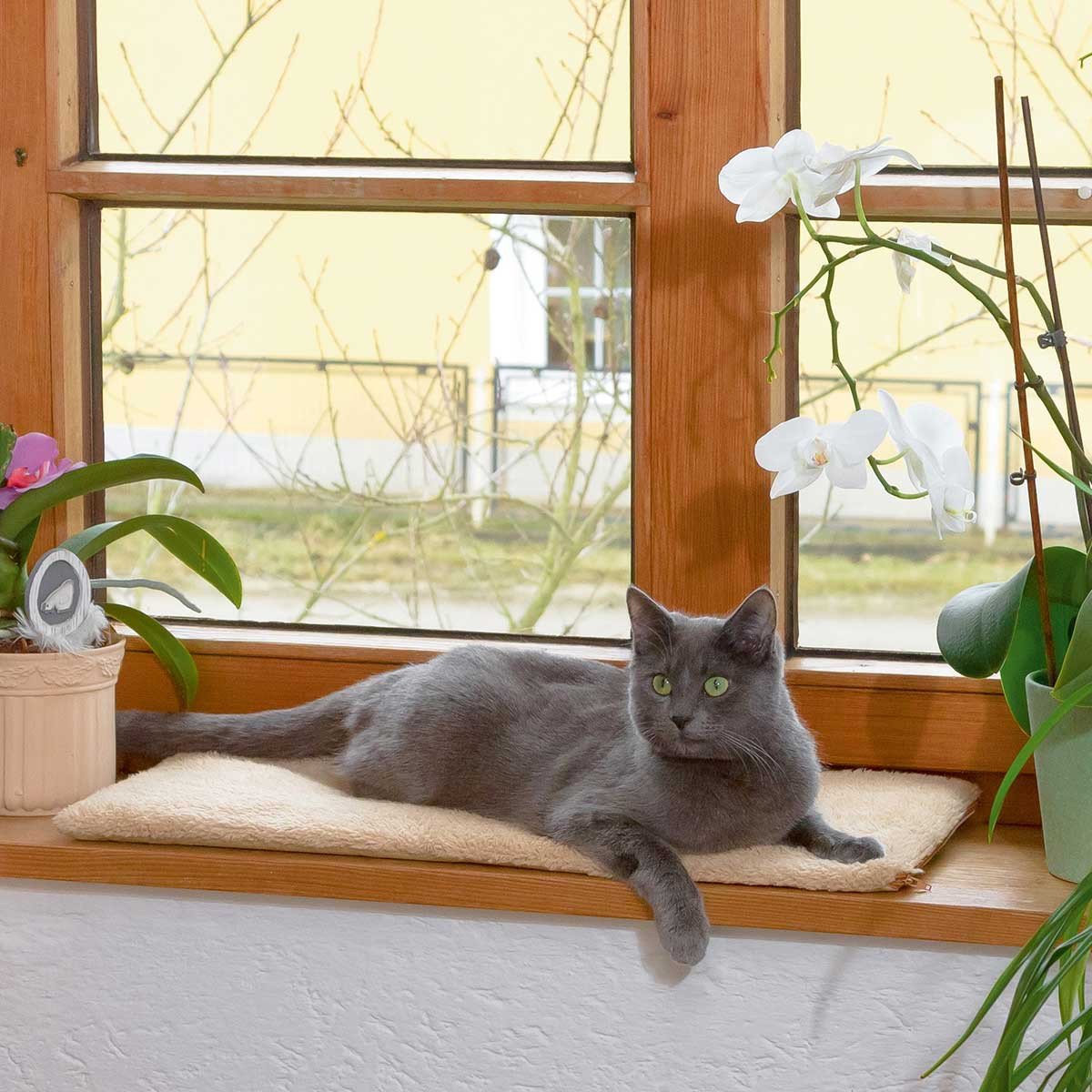 kerbl-pet-selbstw-rmendes-fensterliegekissen-hellbraun-60-x-26-x-2-cm image 2