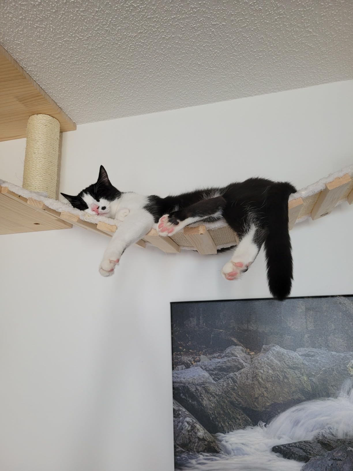 Der Hit bei uns