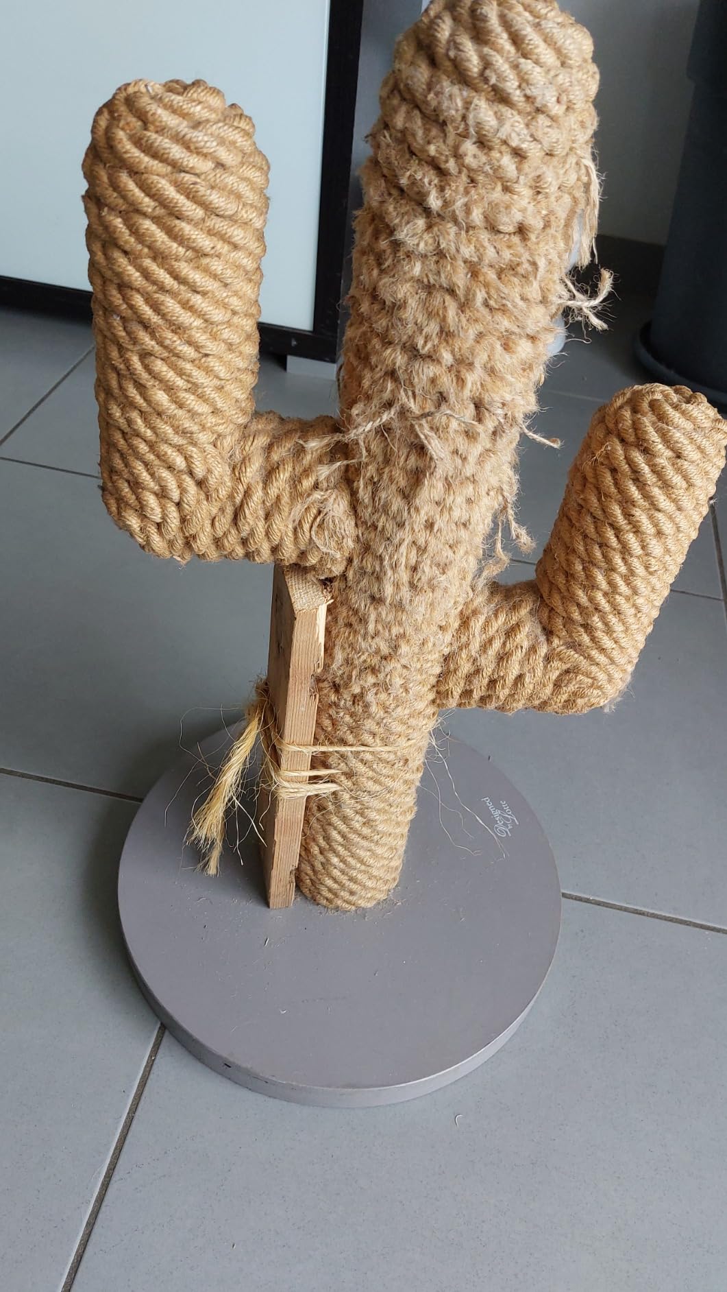 Kratzbaum Cactus - absolute Empfehlung