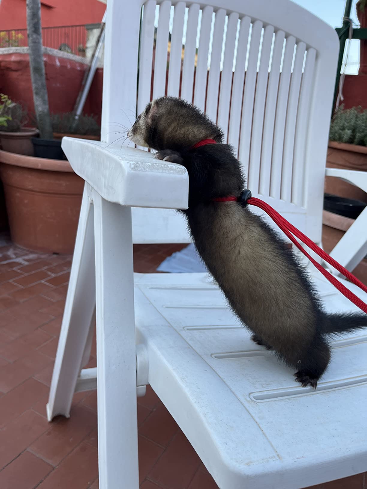 Süßes Geschirr für den Garten
