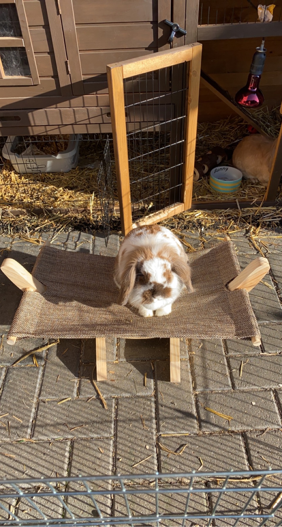 Schönes Geschenk