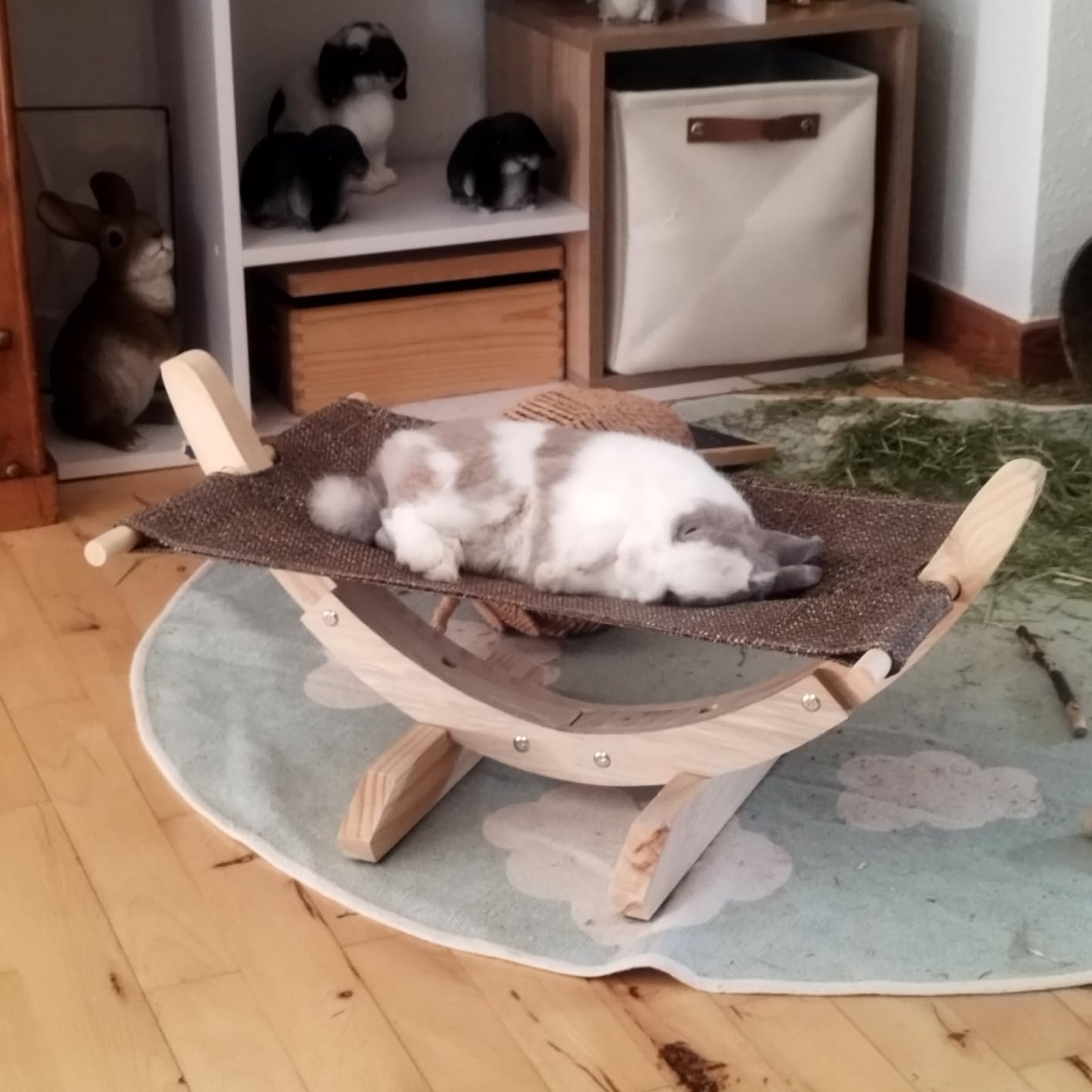 Lieblingsplatz unserer Katze