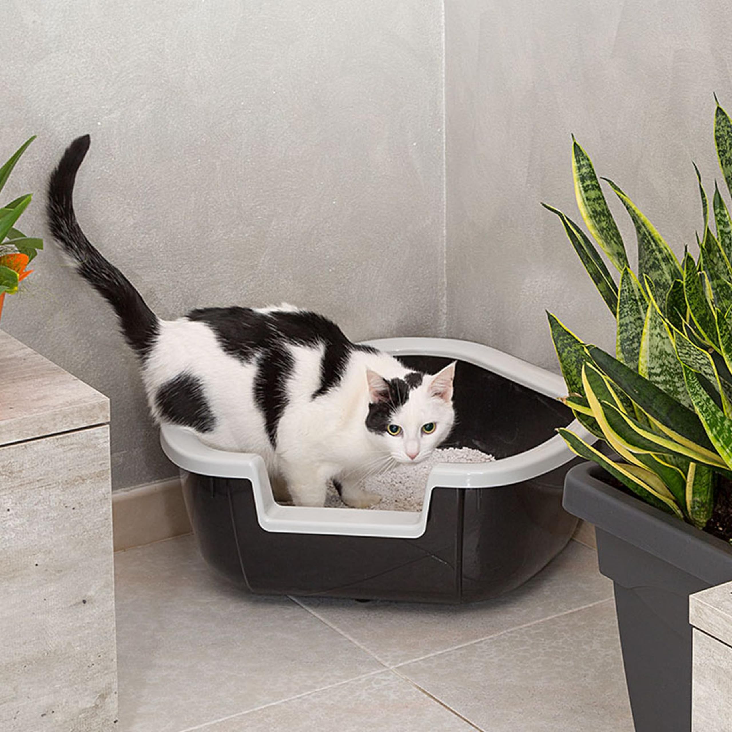 ferplast-dama-eck-katzentoilette-offen-57-5-x-51-5-x-h-22-cm-schwarz image 2