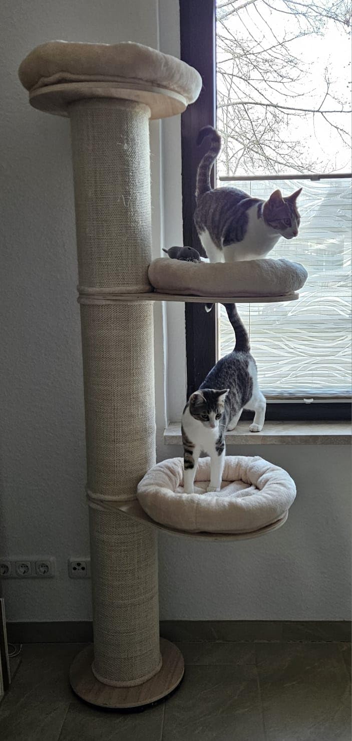 Katzen-Oma ist begeistert
