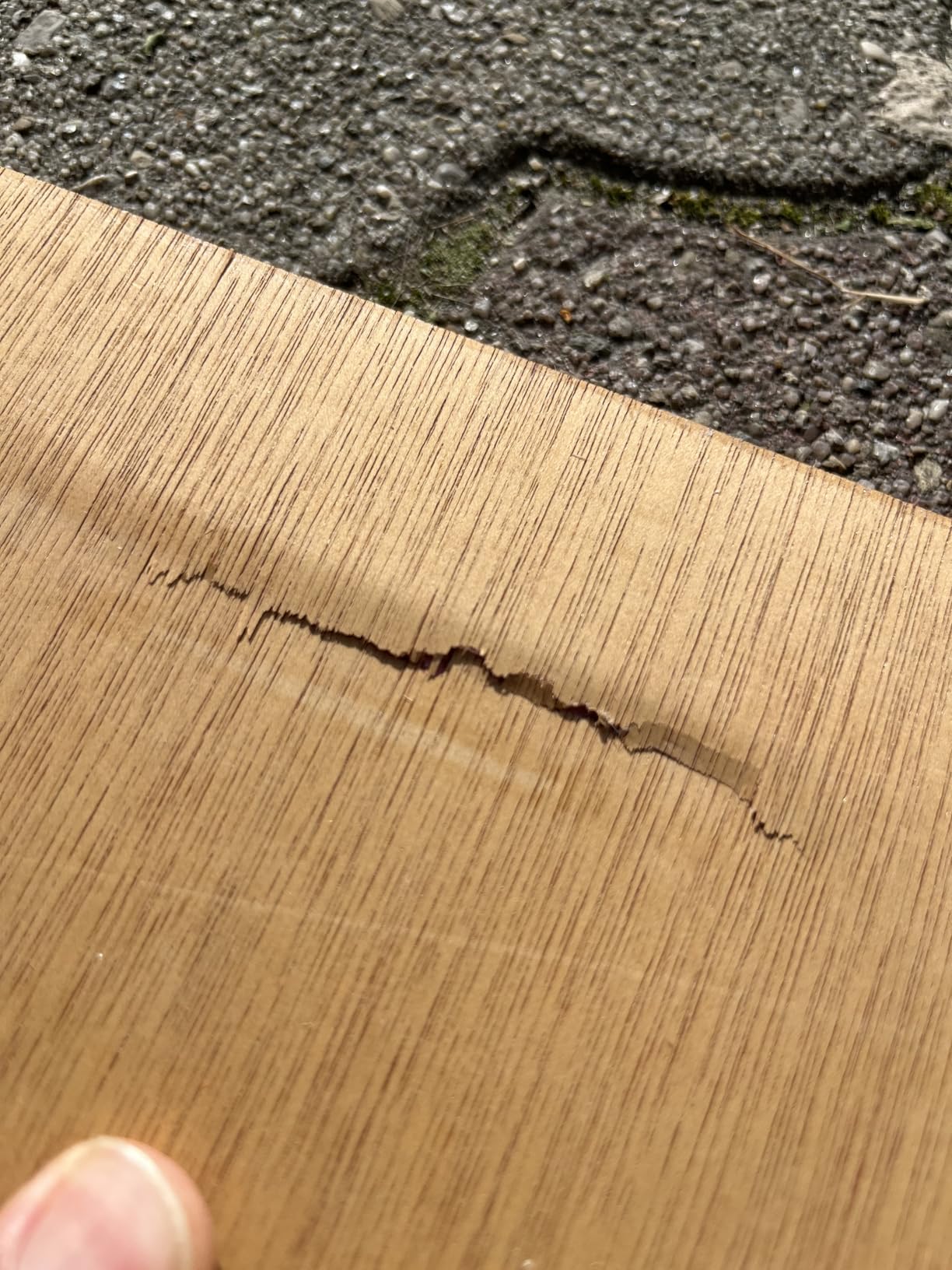 Gute Qualität, Aufbau braucht Zeit