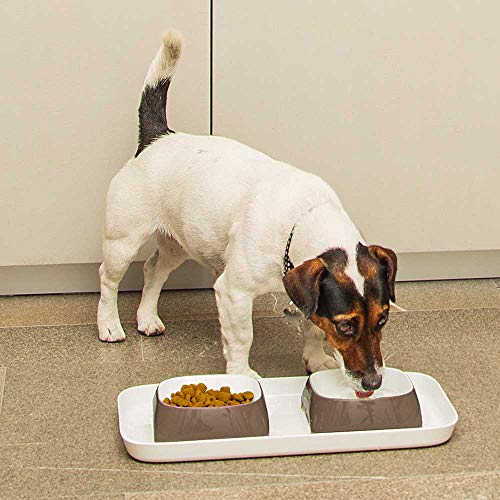 ferplast-glam-tray-s-futternapf-tablett-f-r-haustiere-taubengrau image 8