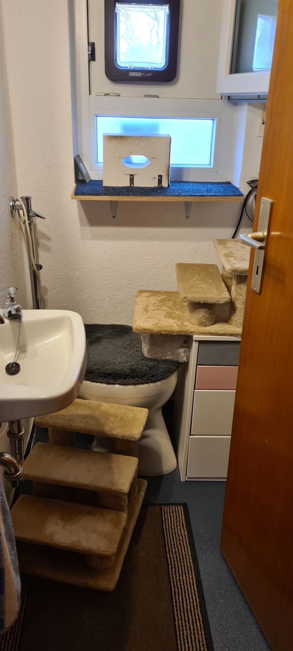 Stabil und hundefreundlich