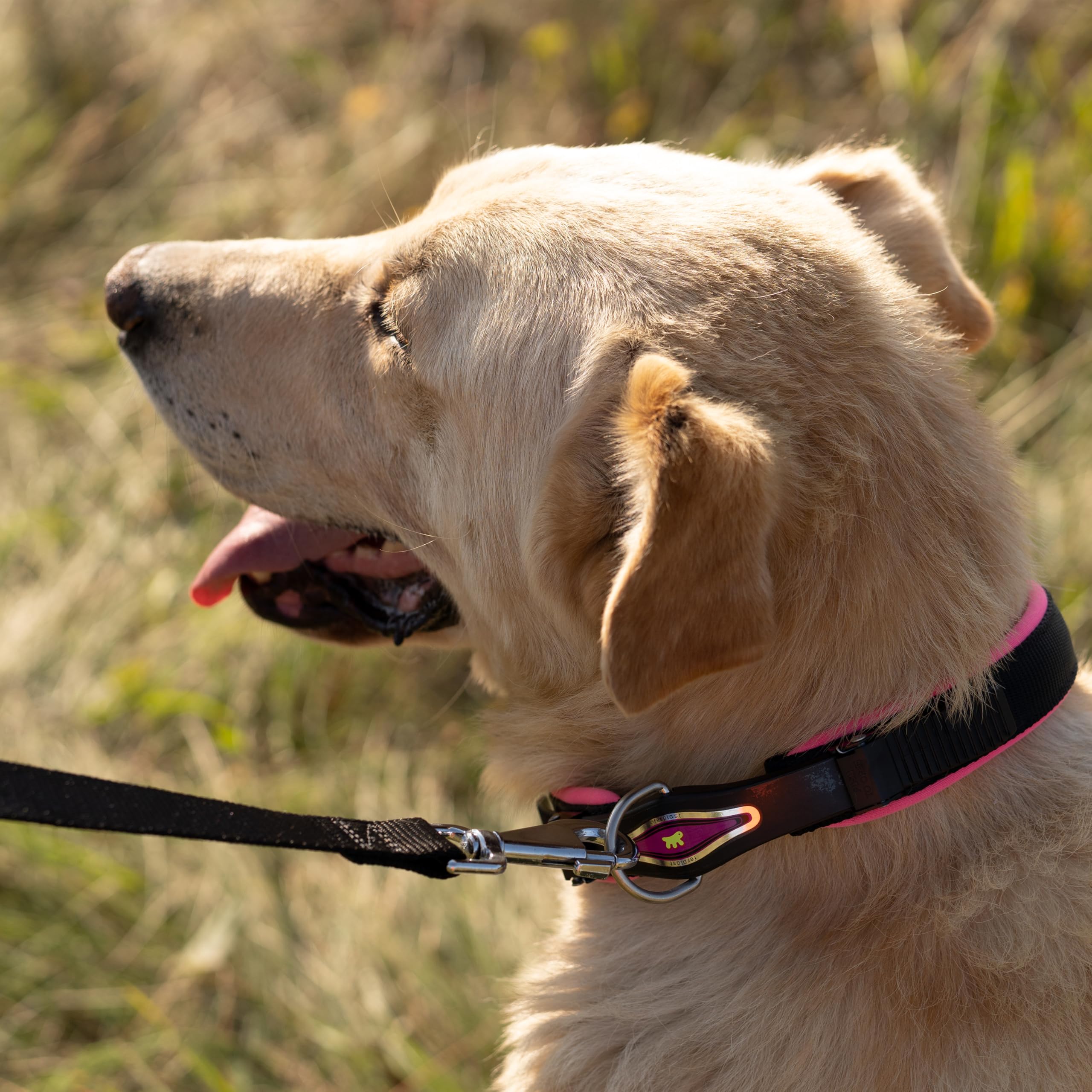 ferplast-ergofluo-c25-60-hundehalsband-52-60-cm-25-mm image 3