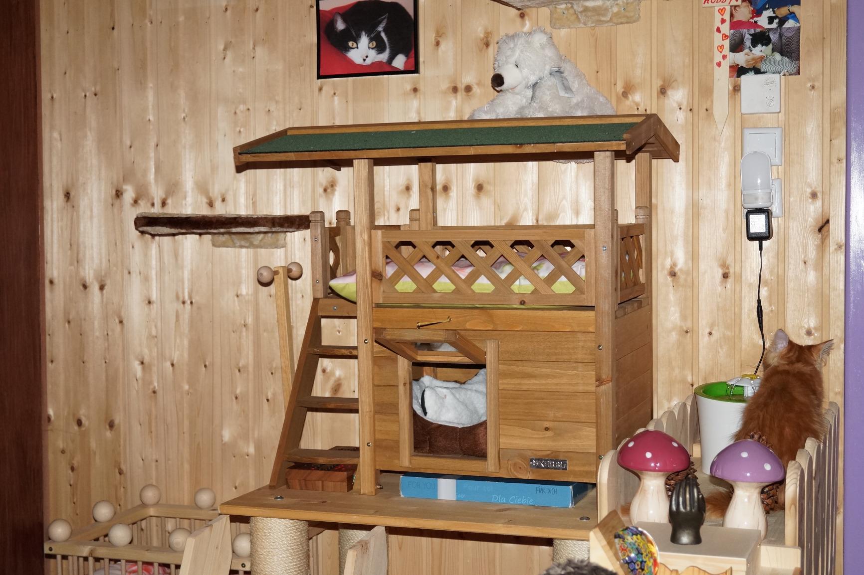 Bester Schlafplatz laut Kater