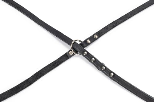 karlie-rondo-f-hrleine-genietet-200-cm-x-12-mm-schwarz image 7
