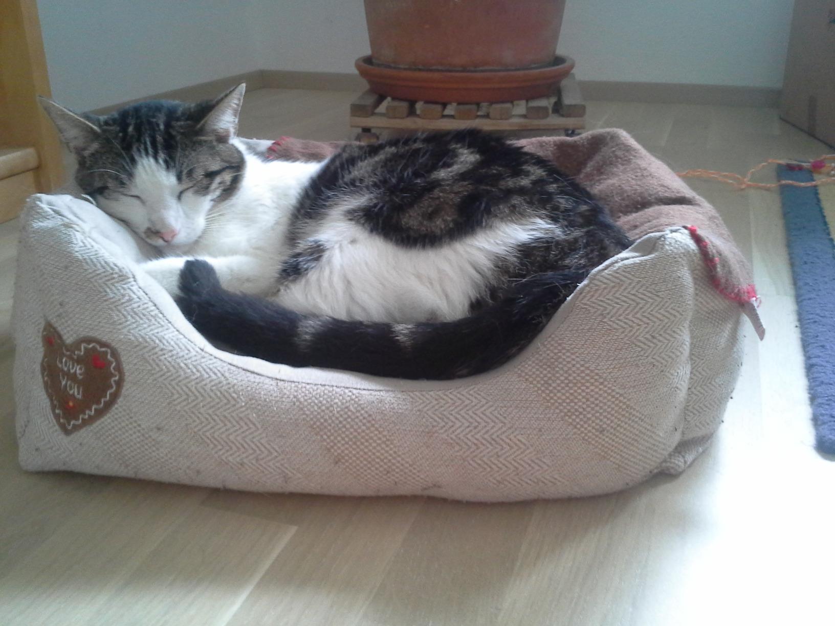 Kuschelparadies
