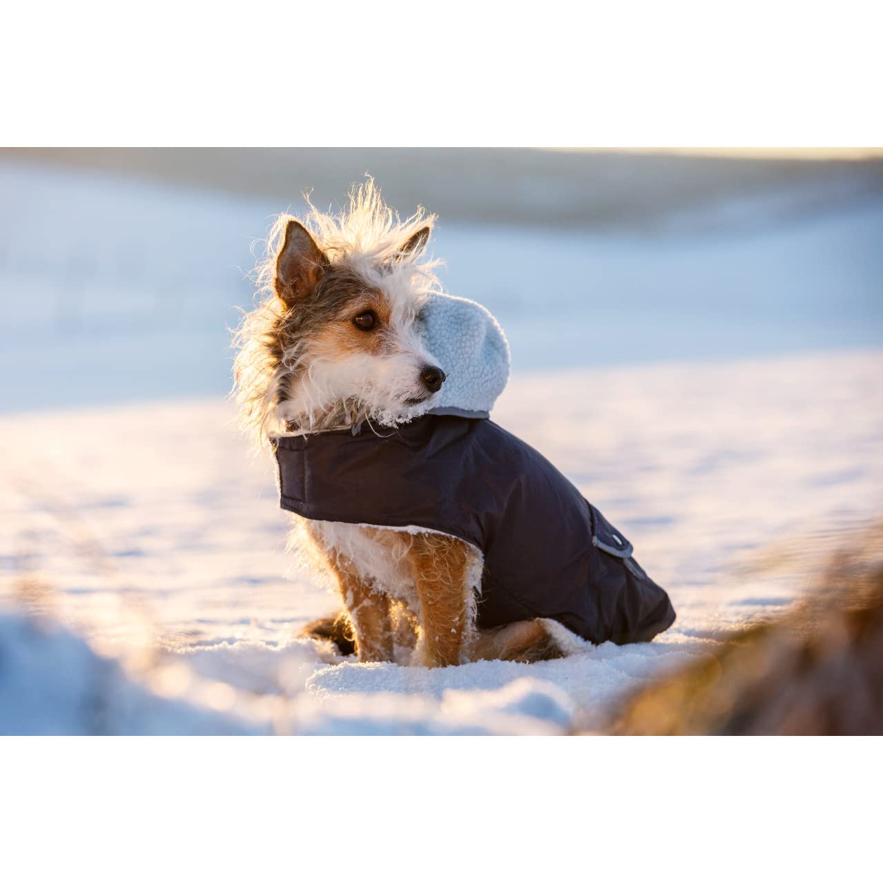kerbl-hundemantel-teddy-48-cm-bauch-53-68-cm image 3