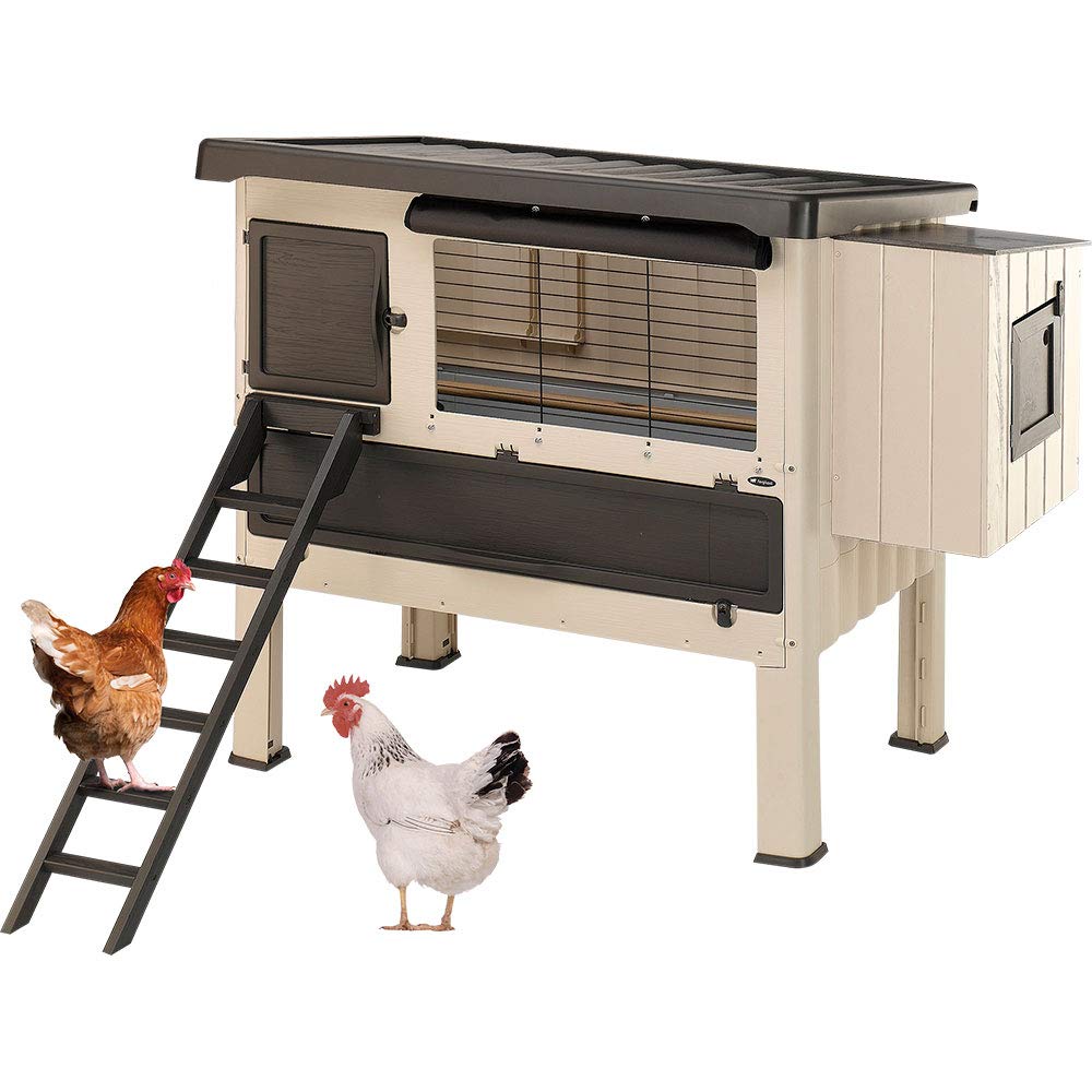 ferplast-happy-farm-120-h-hnerstall-f-r-ca-6-hennen-beige-140-x-139-x-110-cm image 6