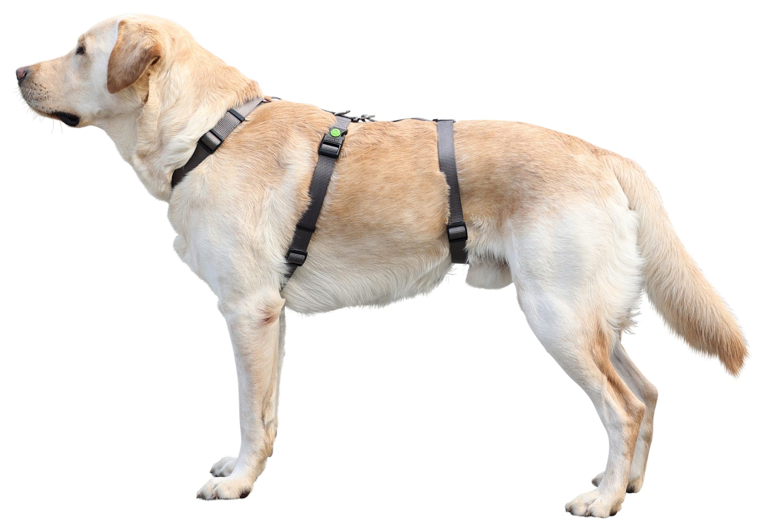 kerbl-pet-panikgeschirr-miami-sicherheitsgeschirr-grau-30-41-cm-15-mm image 3