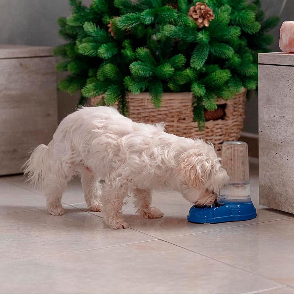 ferplast-azimut-600-futter-und-wasserspender-0-6-liter-f-r-hund-katze-kaninchen- image 7