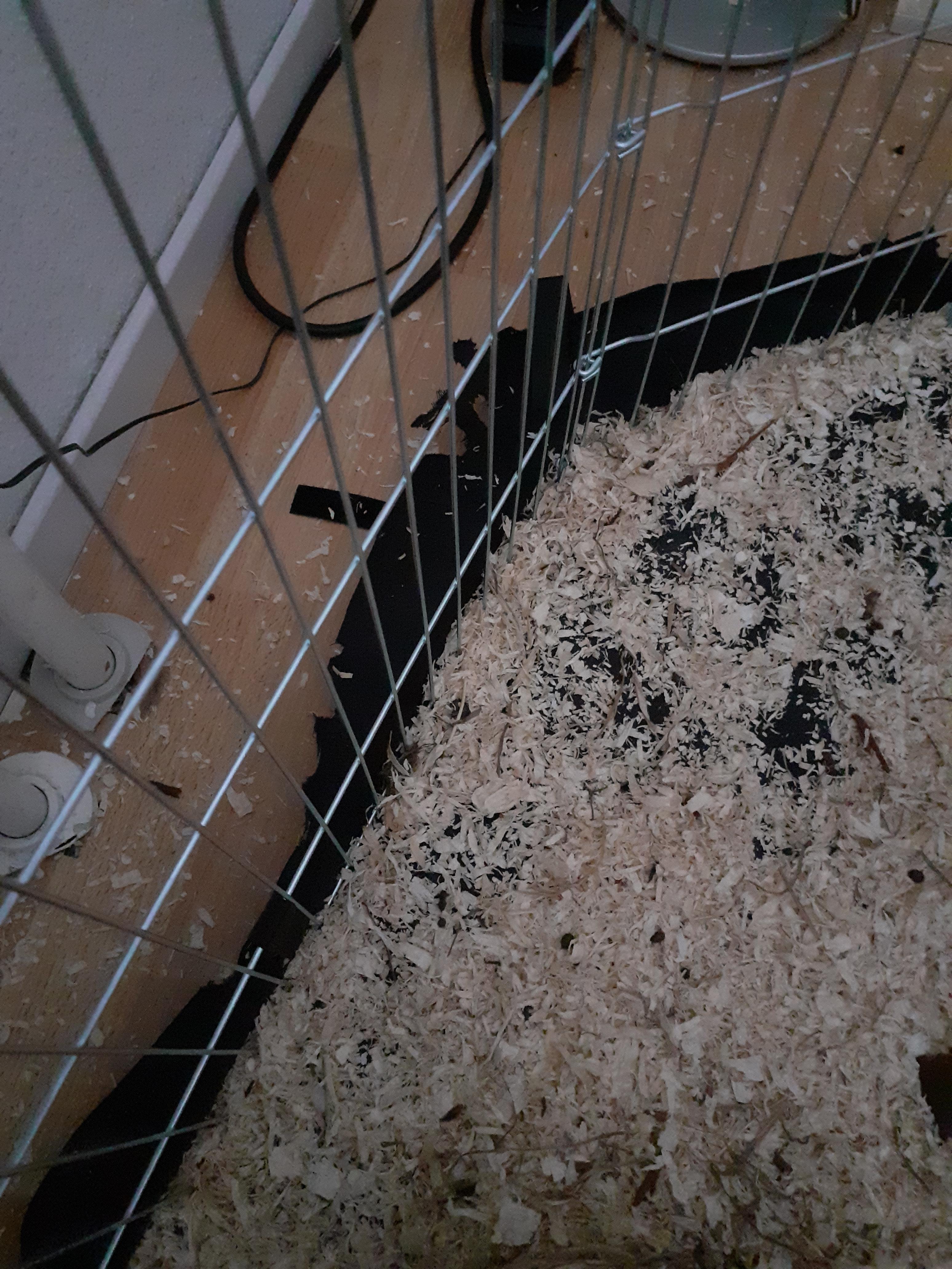 Zweckmäßig, aber dünn