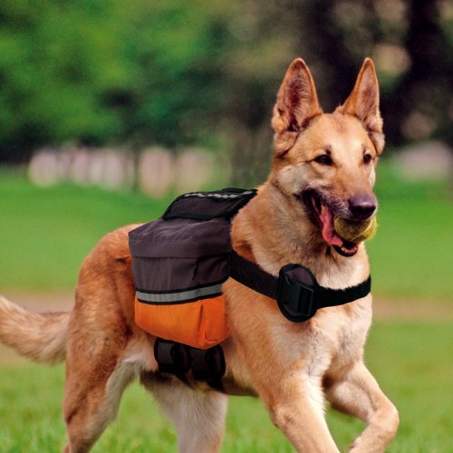 ferplast-dog-scout-hunderucksack-f-r-mittelgro-e-und-gro-e-hunde image 7