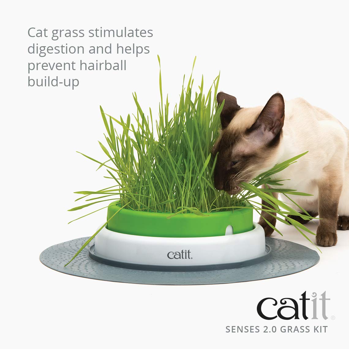 catit-katzengrassamen-set-3er-pack-pflanzset-f-r-frisches-katzengras image 3