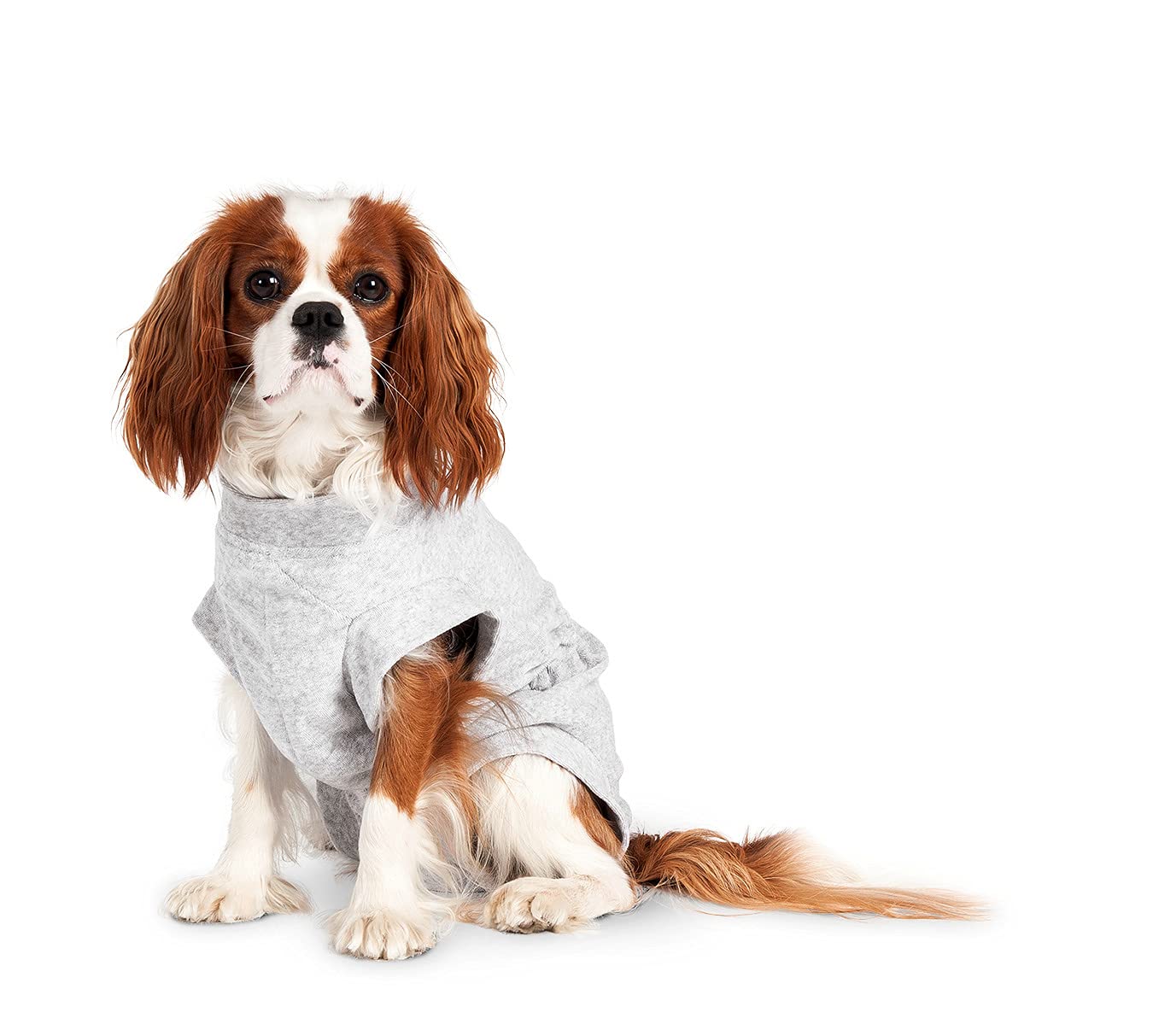karlie-safety-body-f-r-hunde-medizinische-versorgung-baumwolle-grau-26-cm image 8